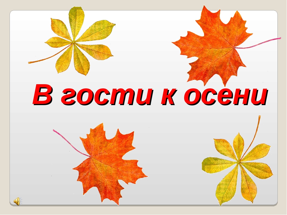 В гости к осени. Презентация в гости к осени. Тема урока в гости к осени. Заголовок осень.